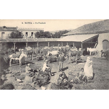 Rare collectable postcards of ALGERIA. Vintage Postcards of ALGERIA
