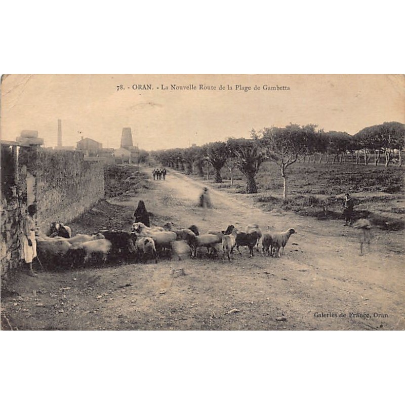 Rare collectable postcards of ALGERIA. Vintage Postcards of ALGERIA