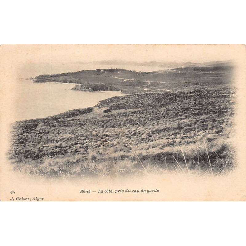 Rare collectable postcards of ALGERIA. Vintage Postcards of ALGERIA