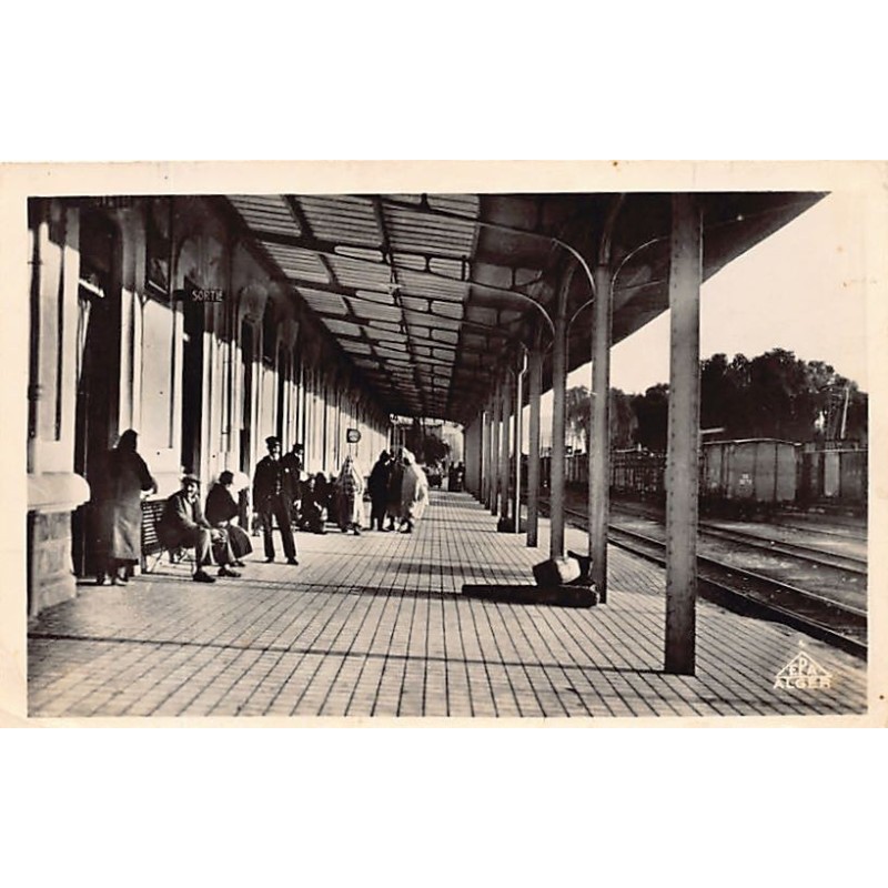 Rare collectable postcards of ALGERIA. Vintage Postcards of ALGERIA
