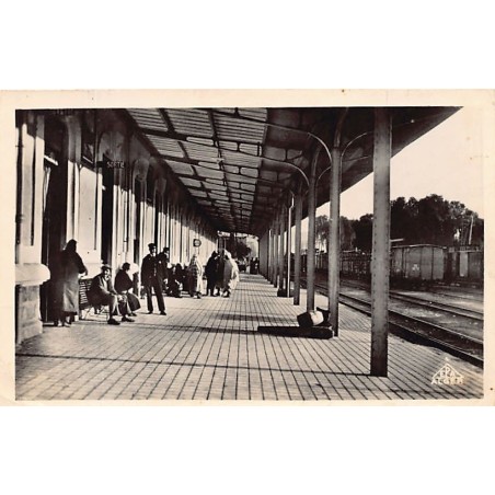 Rare collectable postcards of ALGERIA. Vintage Postcards of ALGERIA