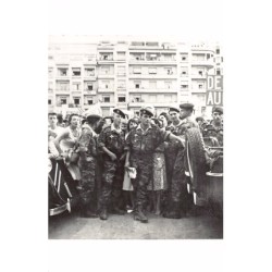Rare collectable postcards of ALGERIA. Vintage Postcards of ALGERIA