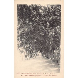 Rare collectable postcards of ALGERIA. Vintage Postcards of ALGERIA