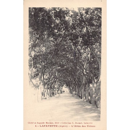 Rare collectable postcards of ALGERIA. Vintage Postcards of ALGERIA