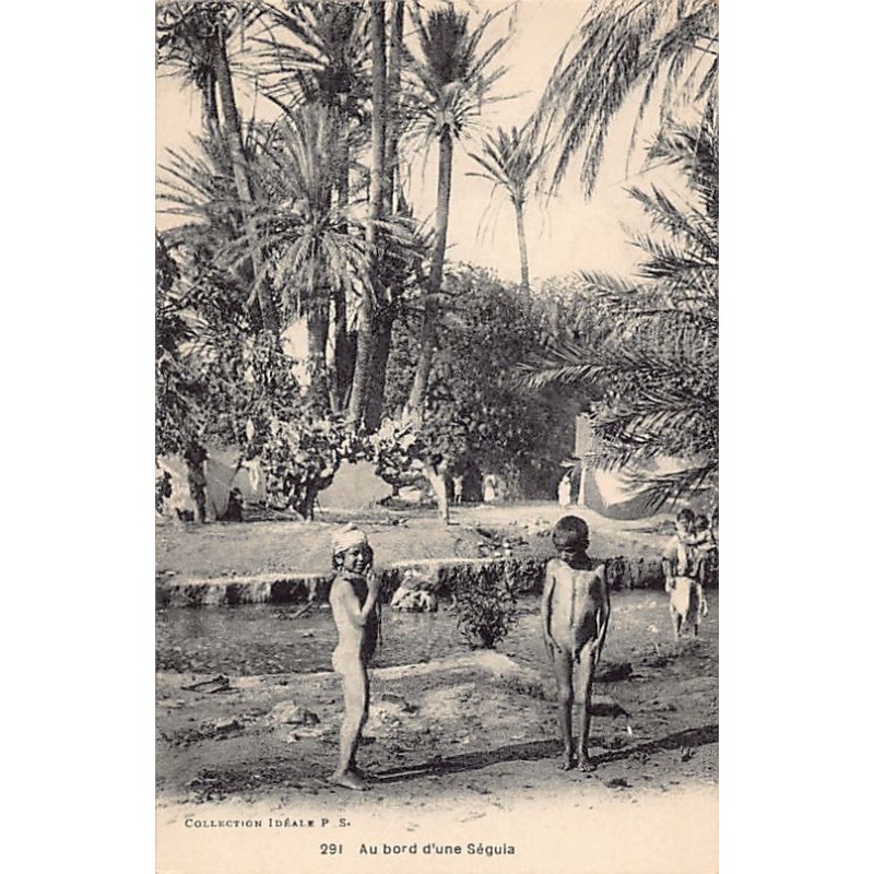 Rare collectable postcards of ALGERIA. Vintage Postcards of ALGERIA