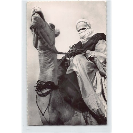 Rare collectable postcards of ALGERIA. Vintage Postcards of ALGERIA