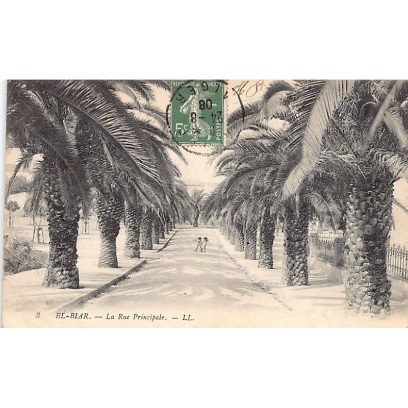 Rare collectable postcards of ALGERIA. Vintage Postcards of ALGERIA