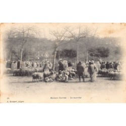 Rare collectable postcards of ALGERIA. Vintage Postcards of ALGERIA