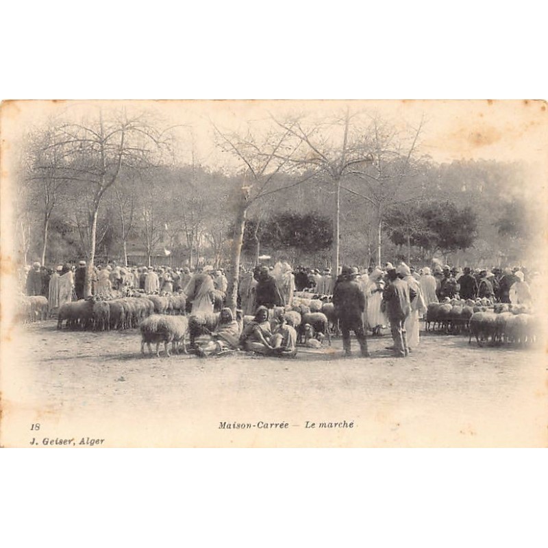 Rare collectable postcards of ALGERIA. Vintage Postcards of ALGERIA
