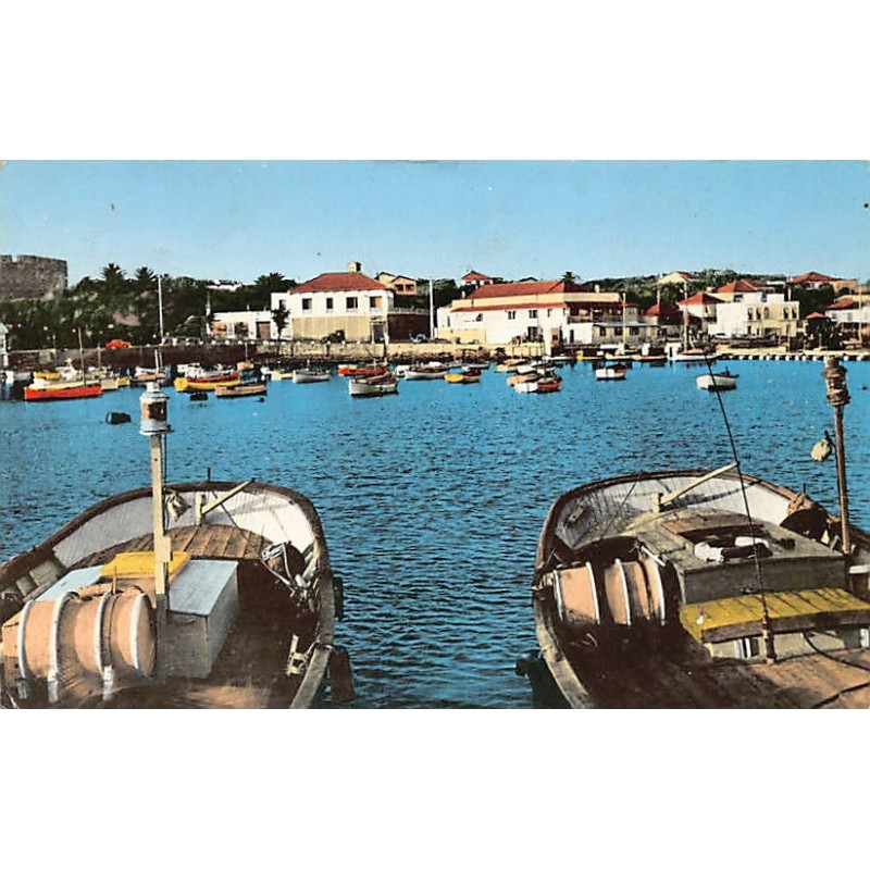 Rare collectable postcards of ALGERIA. Vintage Postcards of ALGERIA