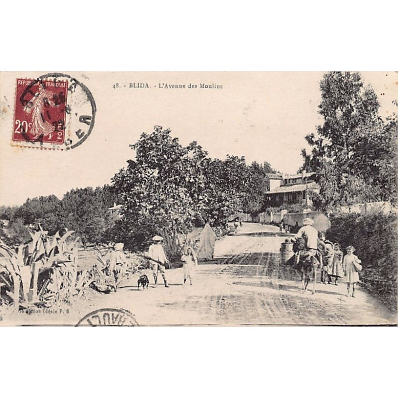Rare collectable postcards of ALGERIA. Vintage Postcards of ALGERIA