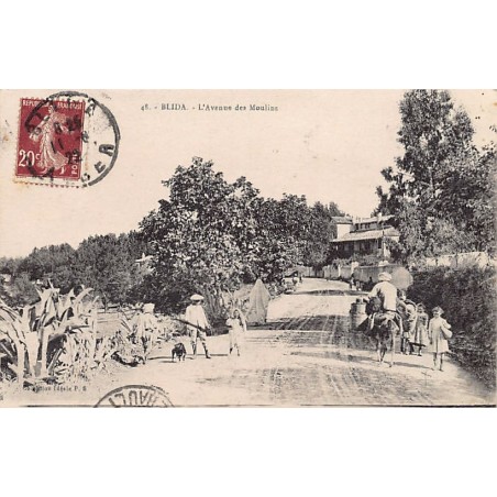 Rare collectable postcards of ALGERIA. Vintage Postcards of ALGERIA