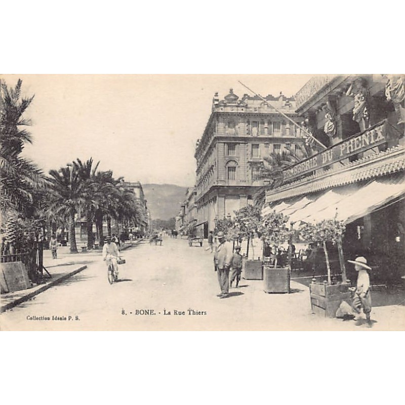 Rare collectable postcards of ALGERIA. Vintage Postcards of ALGERIA