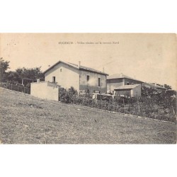 Rare collectable postcards of ALGERIA. Vintage Postcards of ALGERIA