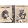 Rare collectable postcards of ALGERIA. Vintage Postcards of ALGERIA