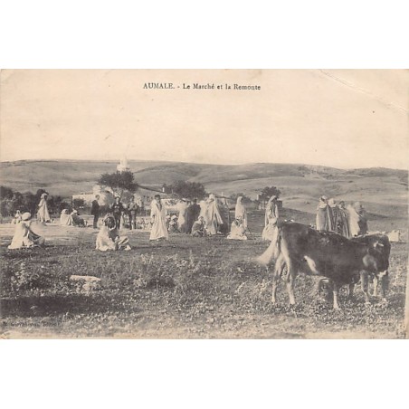 Rare collectable postcards of ALGERIA. Vintage Postcards of ALGERIA