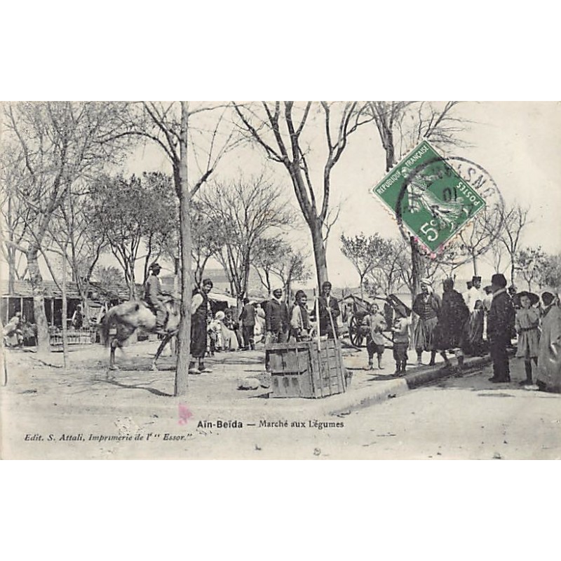 Rare collectable postcards of ALGERIA. Vintage Postcards of ALGERIA