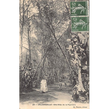 Rare collectable postcards of ALGERIA. Vintage Postcards of ALGERIA