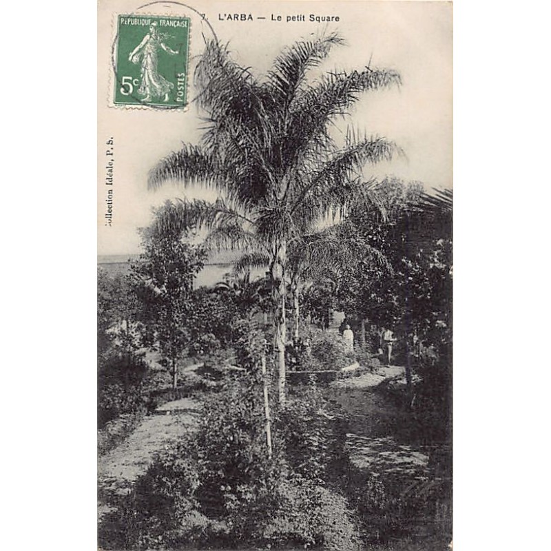 Rare collectable postcards of ALGERIA. Vintage Postcards of ALGERIA