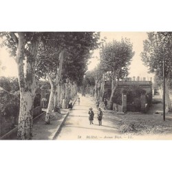 Rare collectable postcards of ALGERIA. Vintage Postcards of ALGERIA