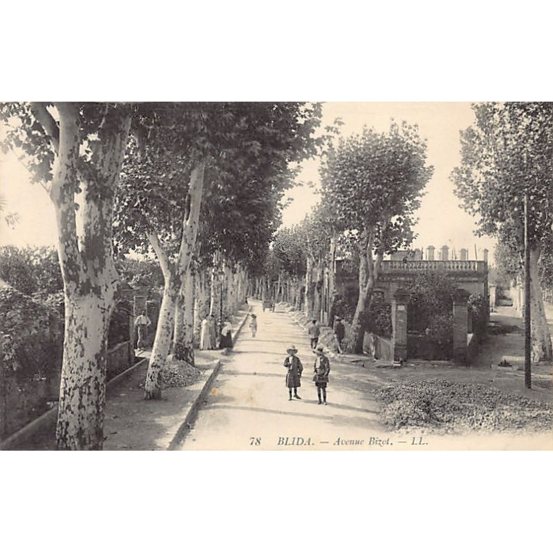 Rare collectable postcards of ALGERIA. Vintage Postcards of ALGERIA