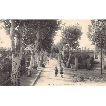 Rare collectable postcards of ALGERIA. Vintage Postcards of ALGERIA