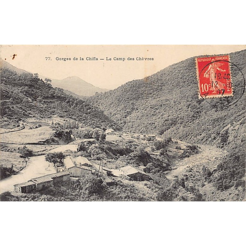 Rare collectable postcards of ALGERIA. Vintage Postcards of ALGERIA