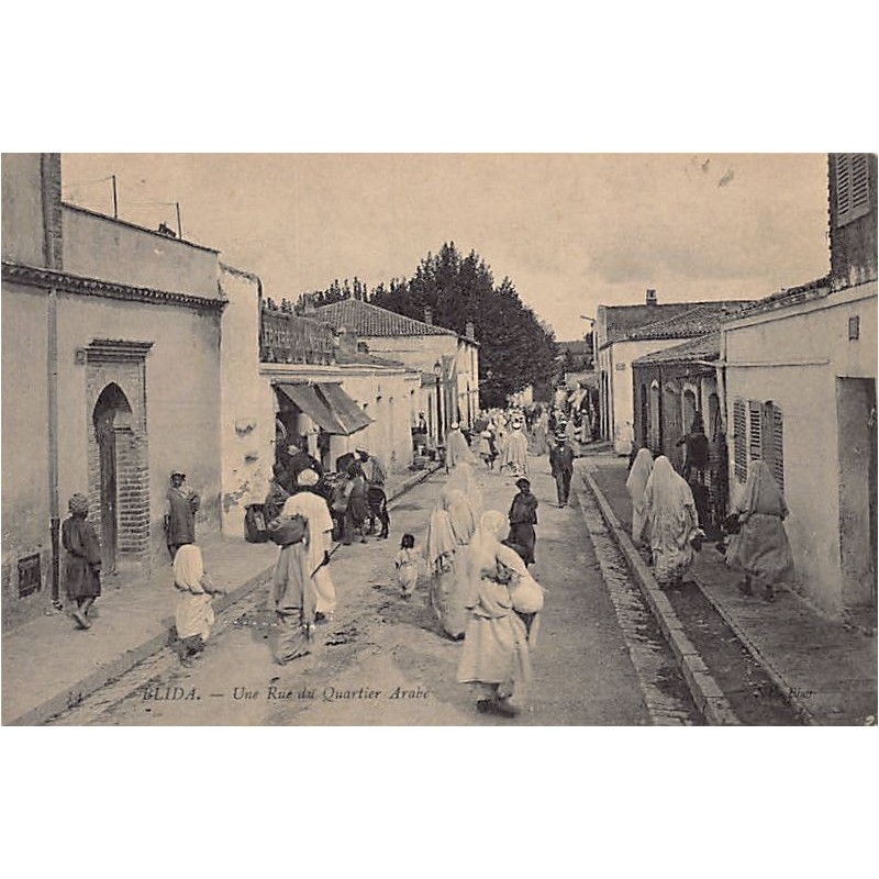 Rare collectable postcards of ALGERIA. Vintage Postcards of ALGERIA