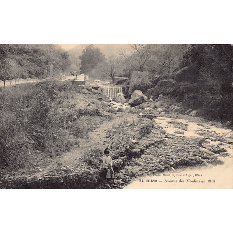 Rare collectable postcards of ALGERIA. Vintage Postcards of ALGERIA