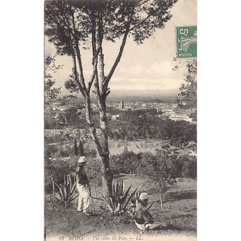 Rare collectable postcards of ALGERIA. Vintage Postcards of ALGERIA