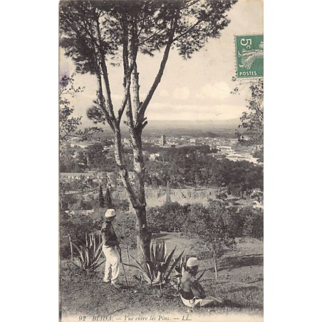 Rare collectable postcards of ALGERIA. Vintage Postcards of ALGERIA