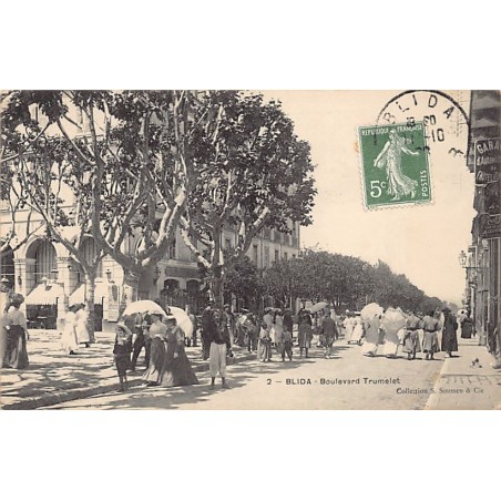 Rare collectable postcards of ALGERIA. Vintage Postcards of ALGERIA