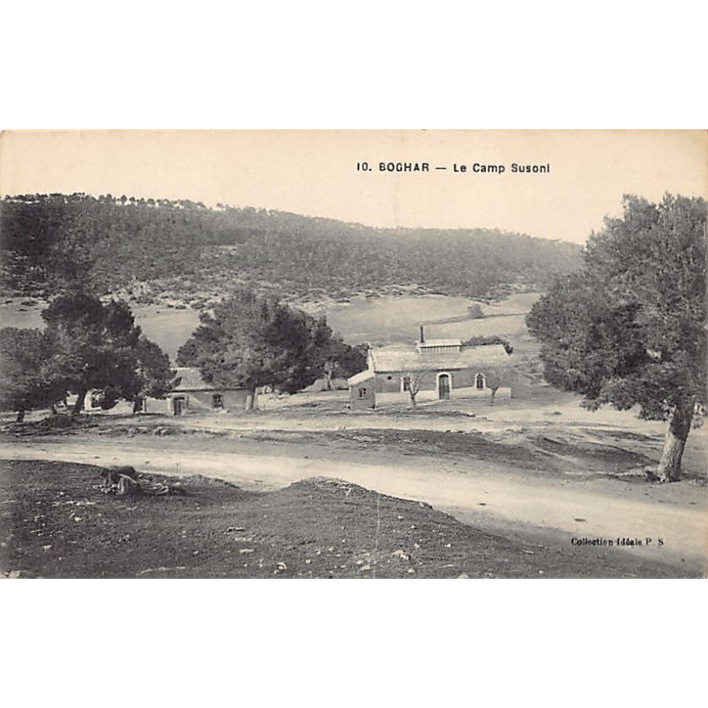 Rare collectable postcards of ALGERIA. Vintage Postcards of ALGERIA