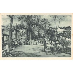 Rare collectable postcards of ALGERIA. Vintage Postcards of ALGERIA
