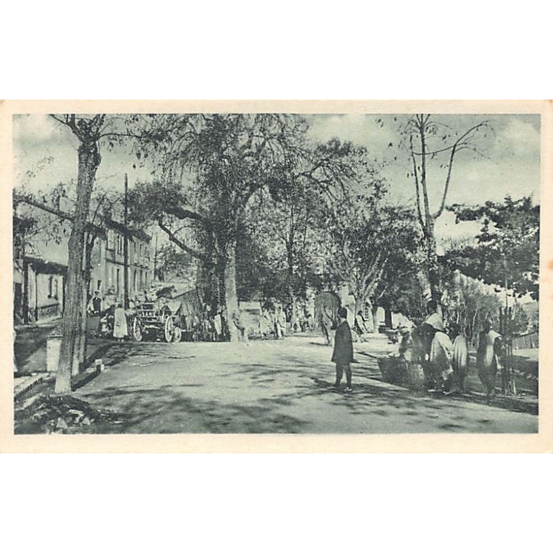 Rare collectable postcards of ALGERIA. Vintage Postcards of ALGERIA