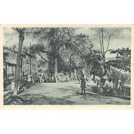 Rare collectable postcards of ALGERIA. Vintage Postcards of ALGERIA