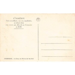 Rare collectable postcards of ALGERIA. Vintage Postcards of ALGERIA
