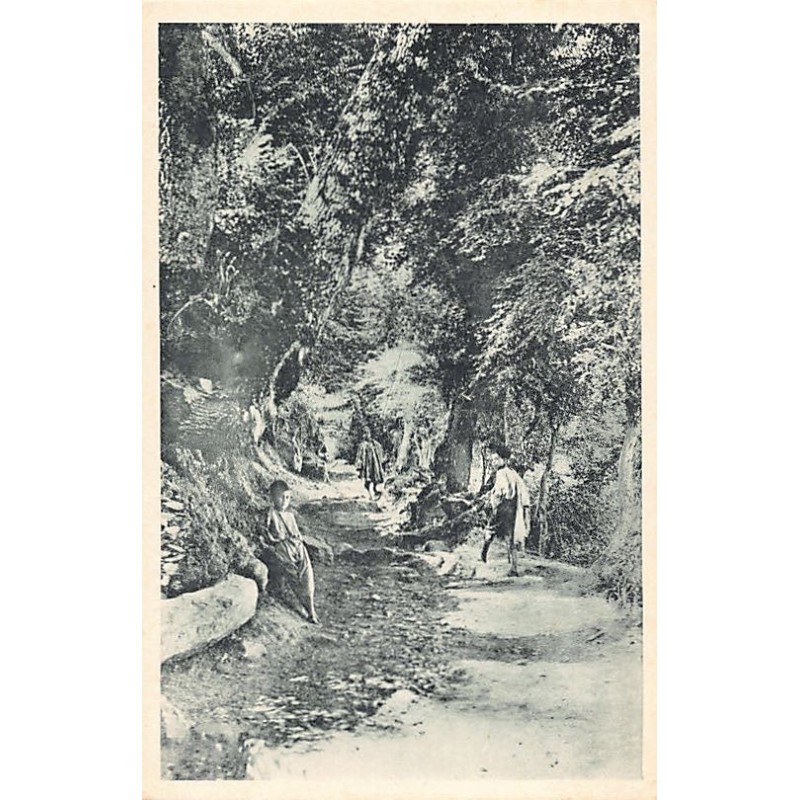 Rare collectable postcards of ALGERIA. Vintage Postcards of ALGERIA