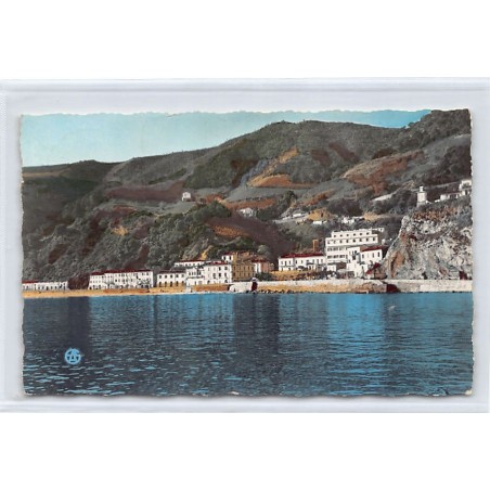 Rare collectable postcards of ALGERIA. Vintage Postcards of ALGERIA