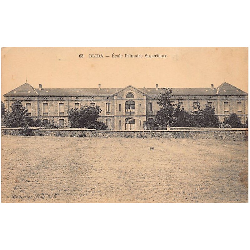 Rare collectable postcards of ALGERIA. Vintage Postcards of ALGERIA