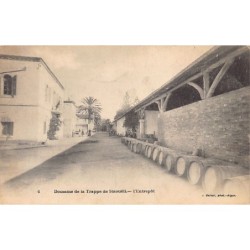 Rare collectable postcards of ALGERIA. Vintage Postcards of ALGERIA
