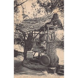 Rare collectable postcards of ALGERIA. Vintage Postcards of ALGERIA