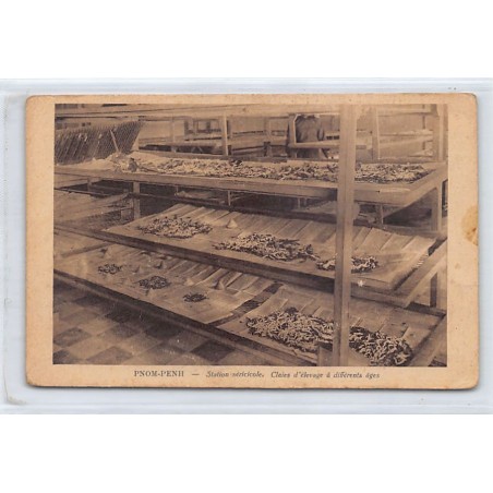 Rare collectable postcards of CAMBODIA. Vintage Postcards of CAMBODIA