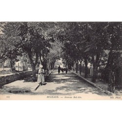Rare collectable postcards of ALGERIA. Vintage Postcards of ALGERIA