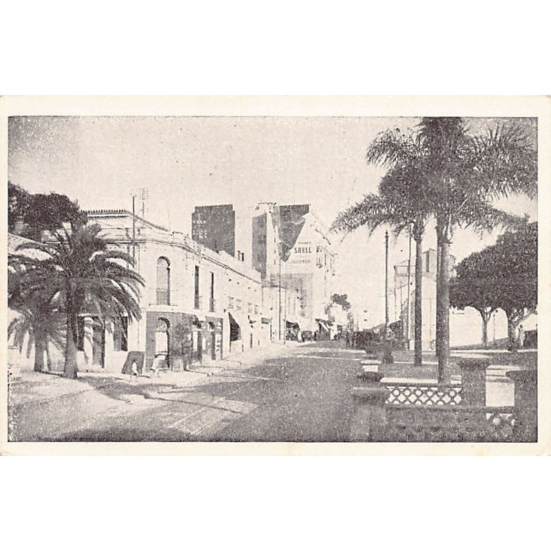 Rare collectable postcards of ALGERIA. Vintage Postcards of ALGERIA
