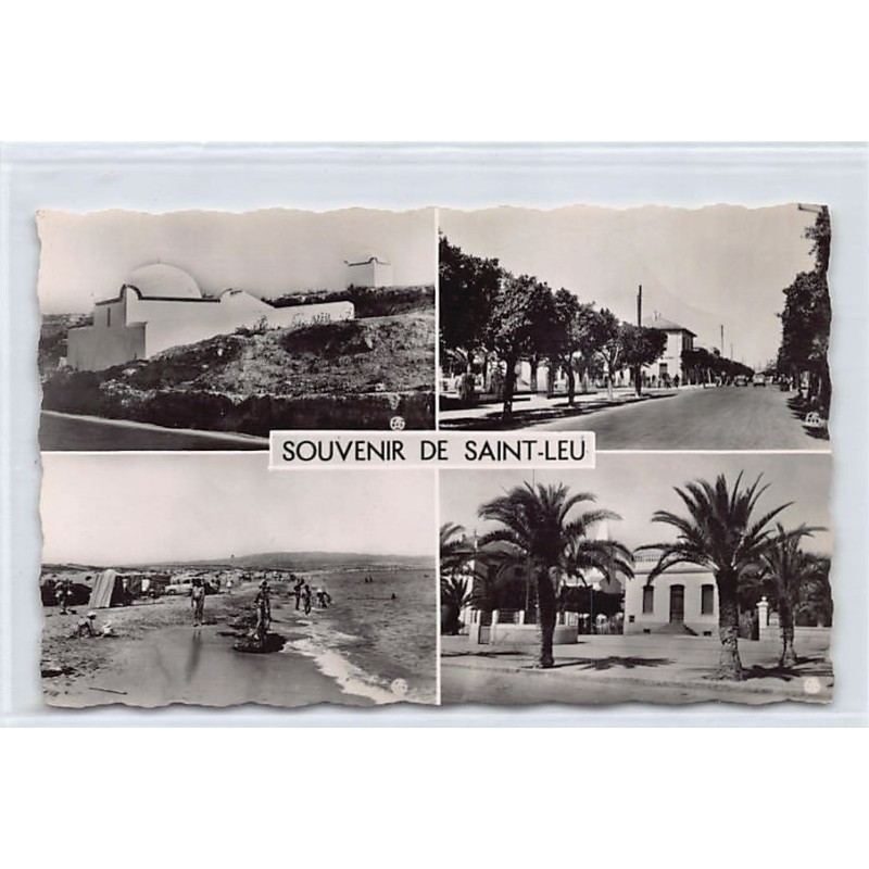 Rare collectable postcards of ALGERIA. Vintage Postcards of ALGERIA