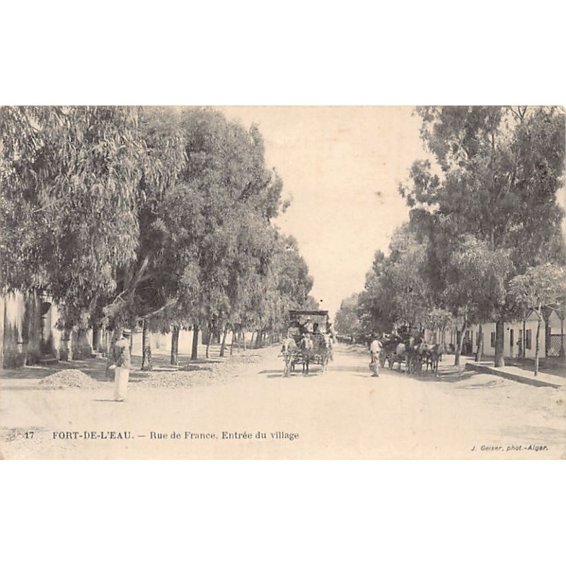 Rare collectable postcards of ALGERIA. Vintage Postcards of ALGERIA