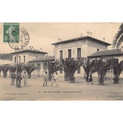 Rare collectable postcards of ALGERIA. Vintage Postcards of ALGERIA