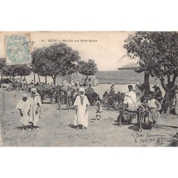 Rare collectable postcards of ALGERIA. Vintage Postcards of ALGERIA