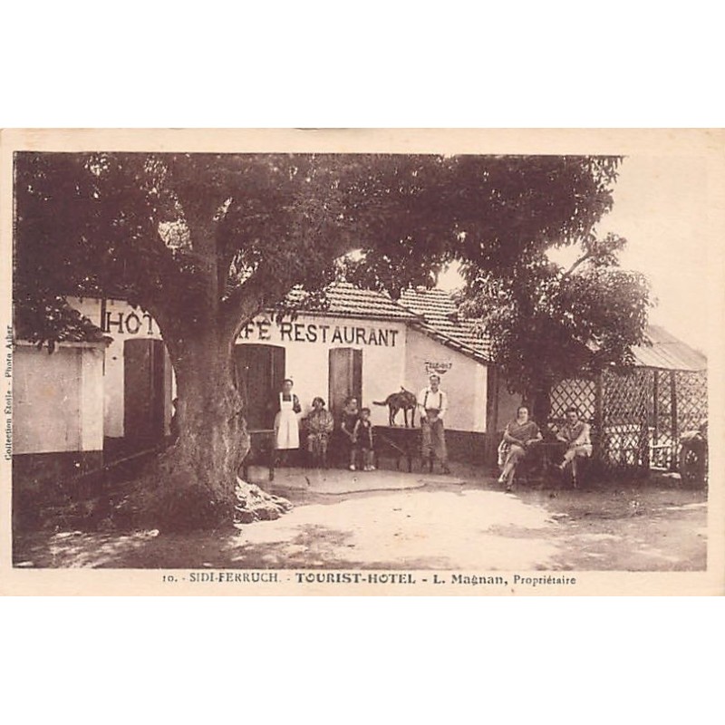 Rare collectable postcards of ALGERIA. Vintage Postcards of ALGERIA